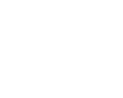 Skol Casino